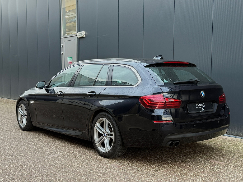 49172649-4.jpg